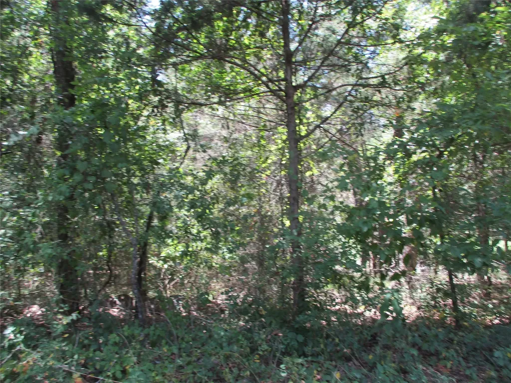 517 Rains County Road 1275 Emory TX 75440