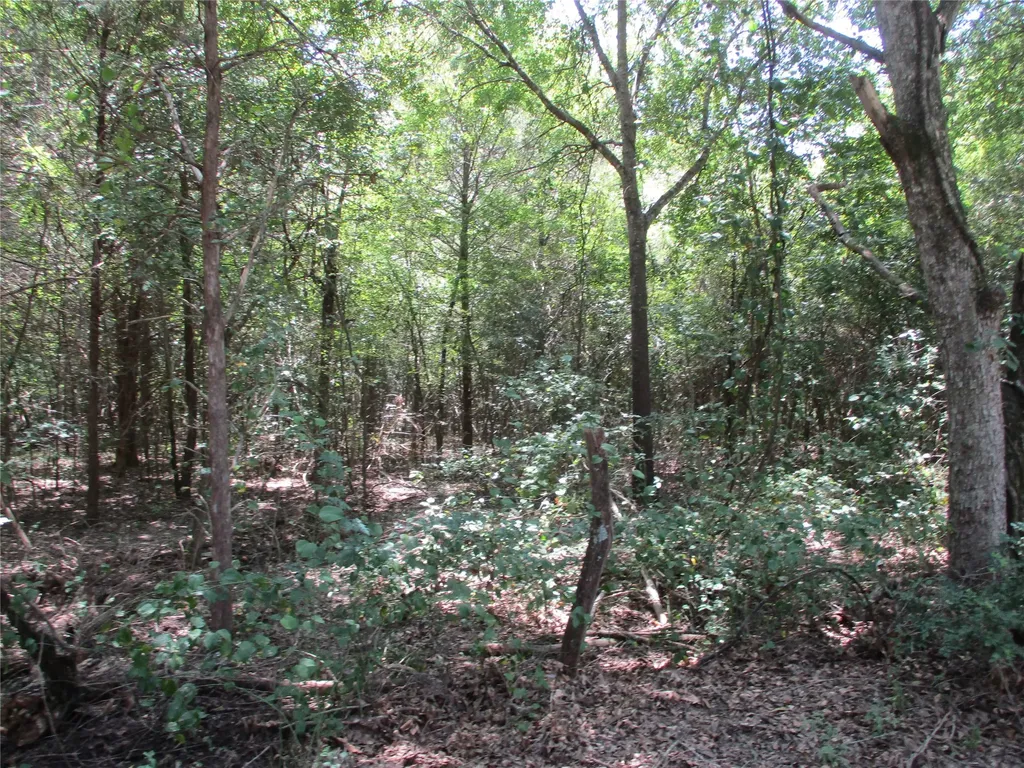 517 Rains County Road 1275 Emory TX 75440