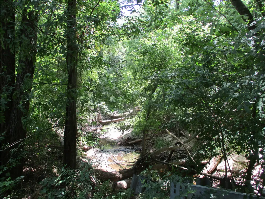 517 Rains County Road 1275 Emory TX 75440