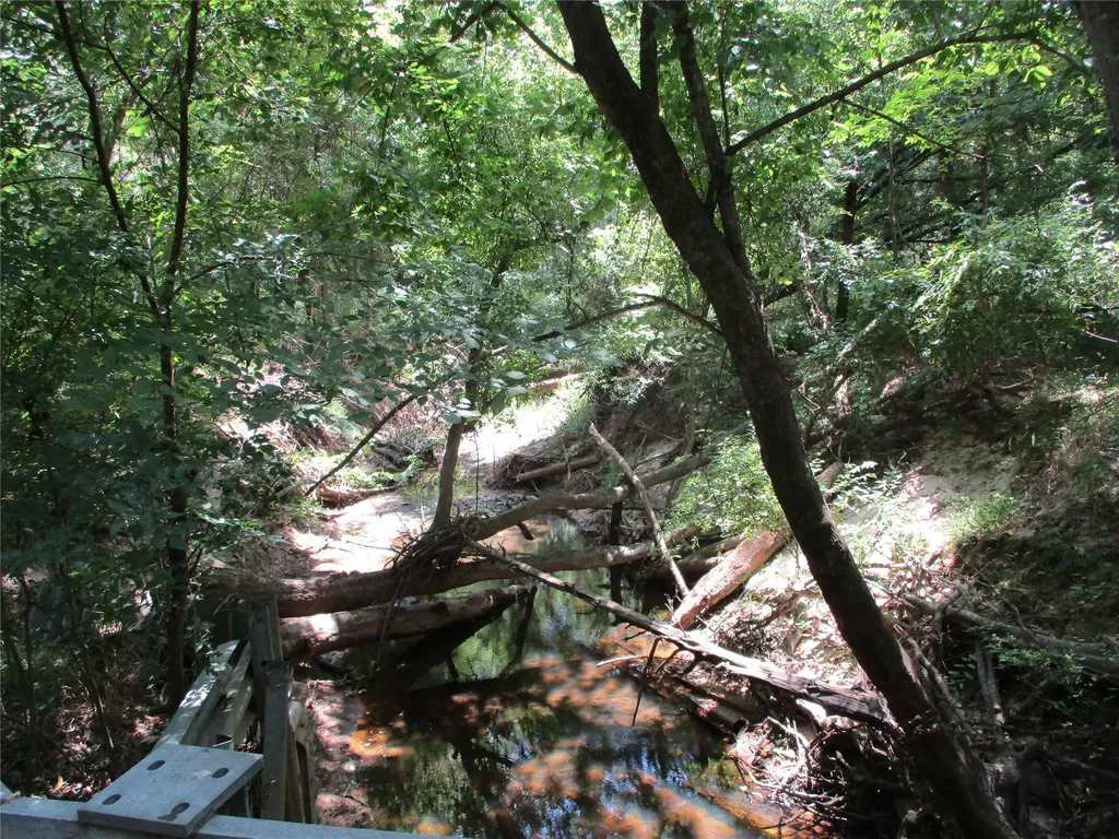 517 Rains County Road 1275 Emory TX 75440