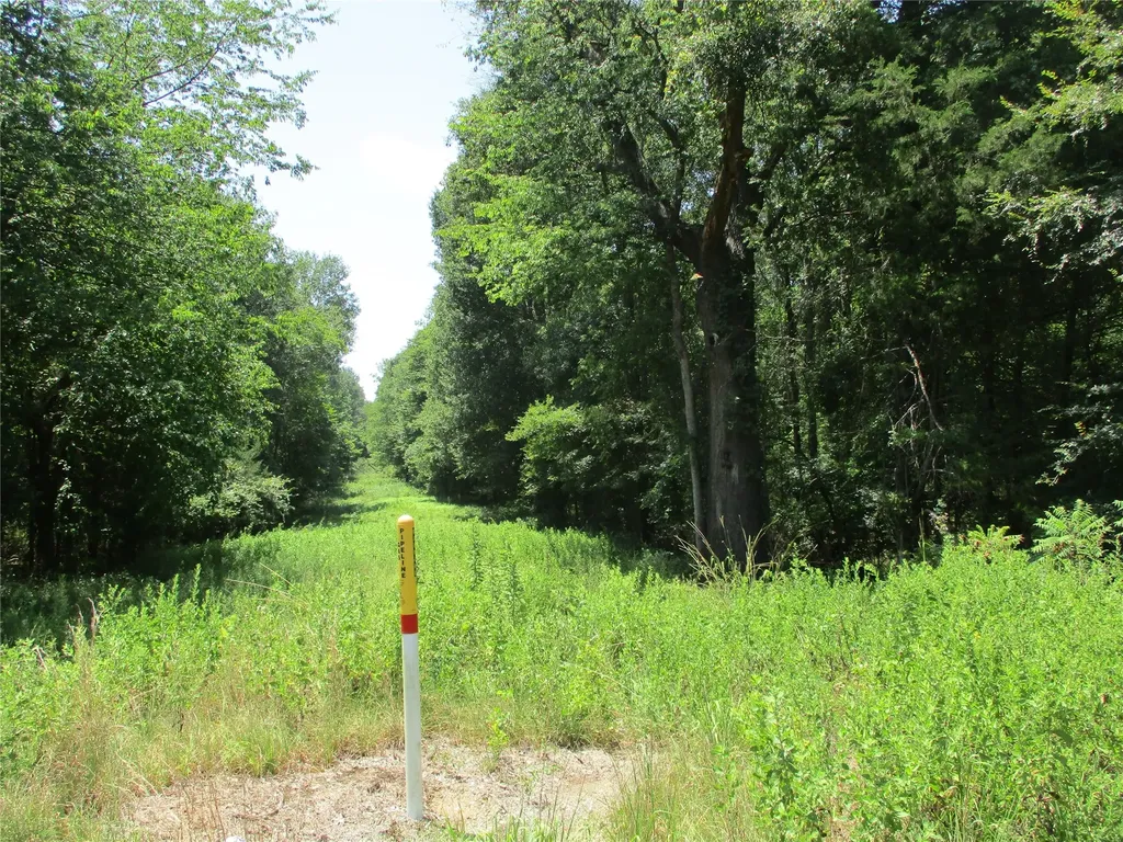 517 Rains County Road 1275 Emory TX 75440