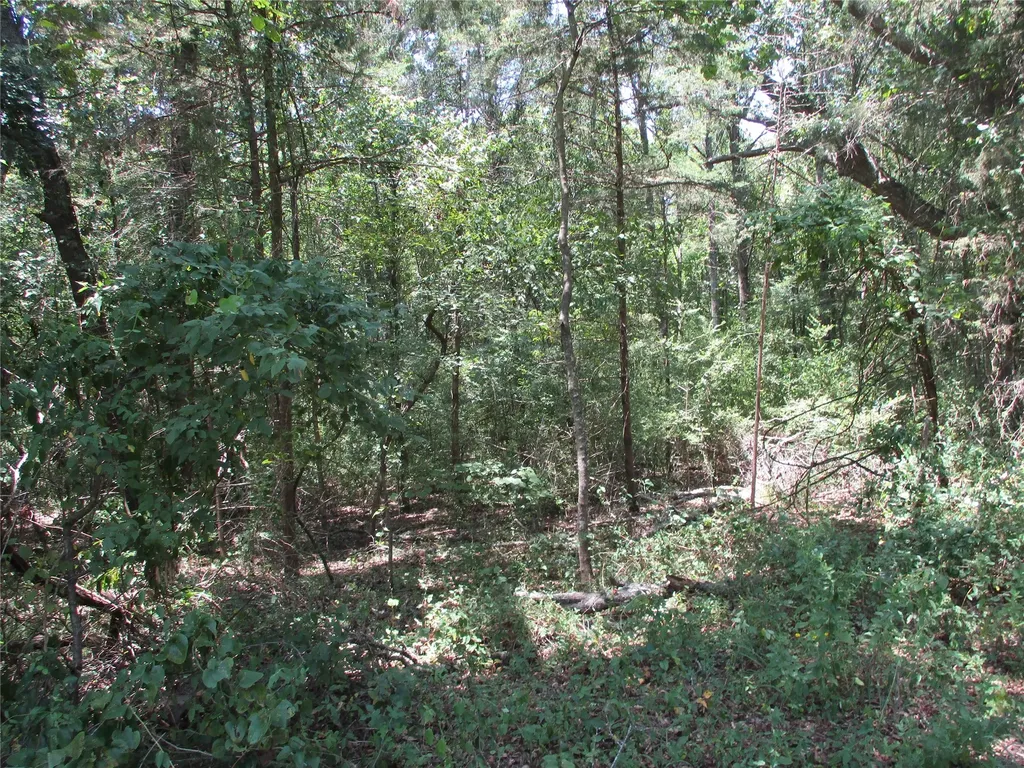 517 Rains County Road 1275 Emory TX 75440