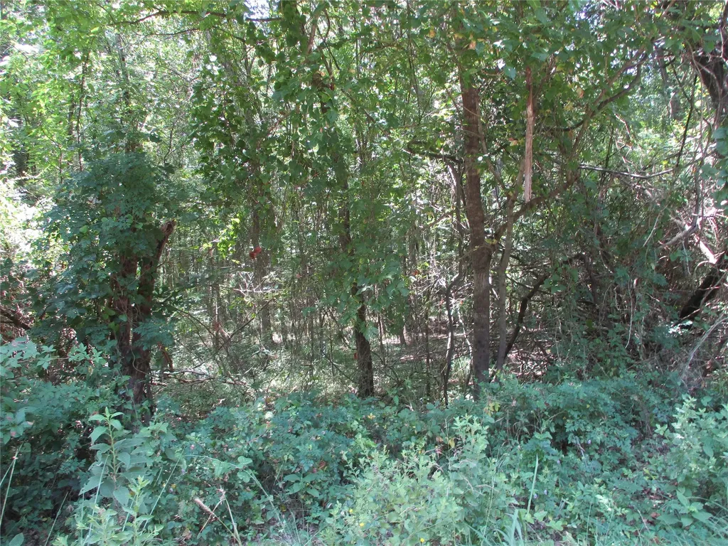 517 Rains County Road 1275 Emory TX 75440