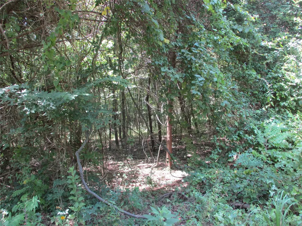 517 Rains County Road 1275 Emory TX 75440