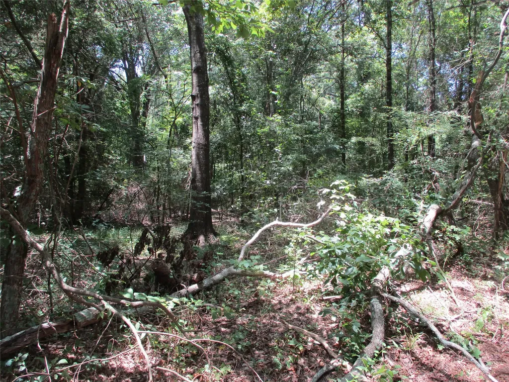 517 Rains County Road 1275 Emory TX 75440