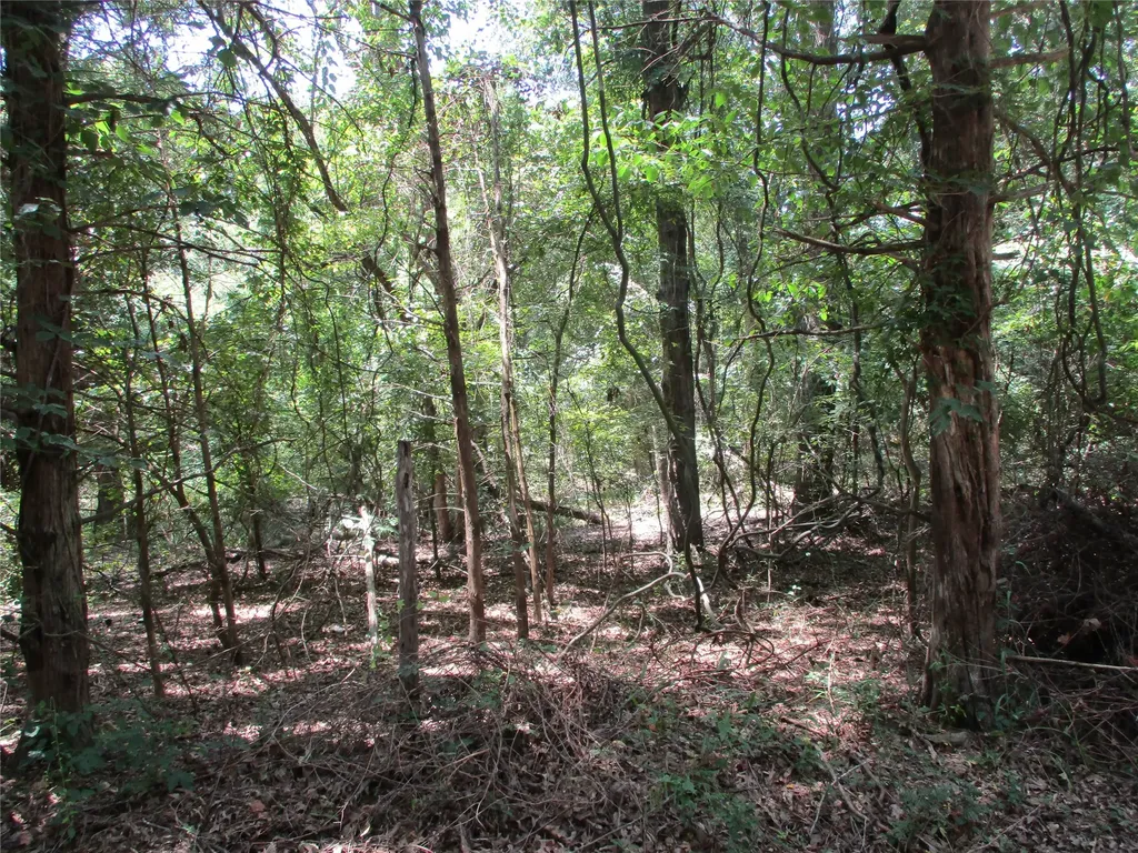 517 Rains County Road 1275 Emory TX 75440