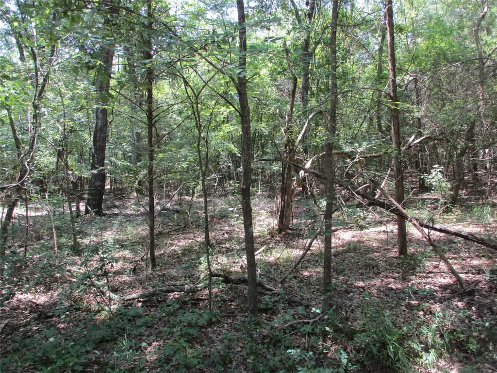 517 Rains County Road 1275 Emory TX 75440