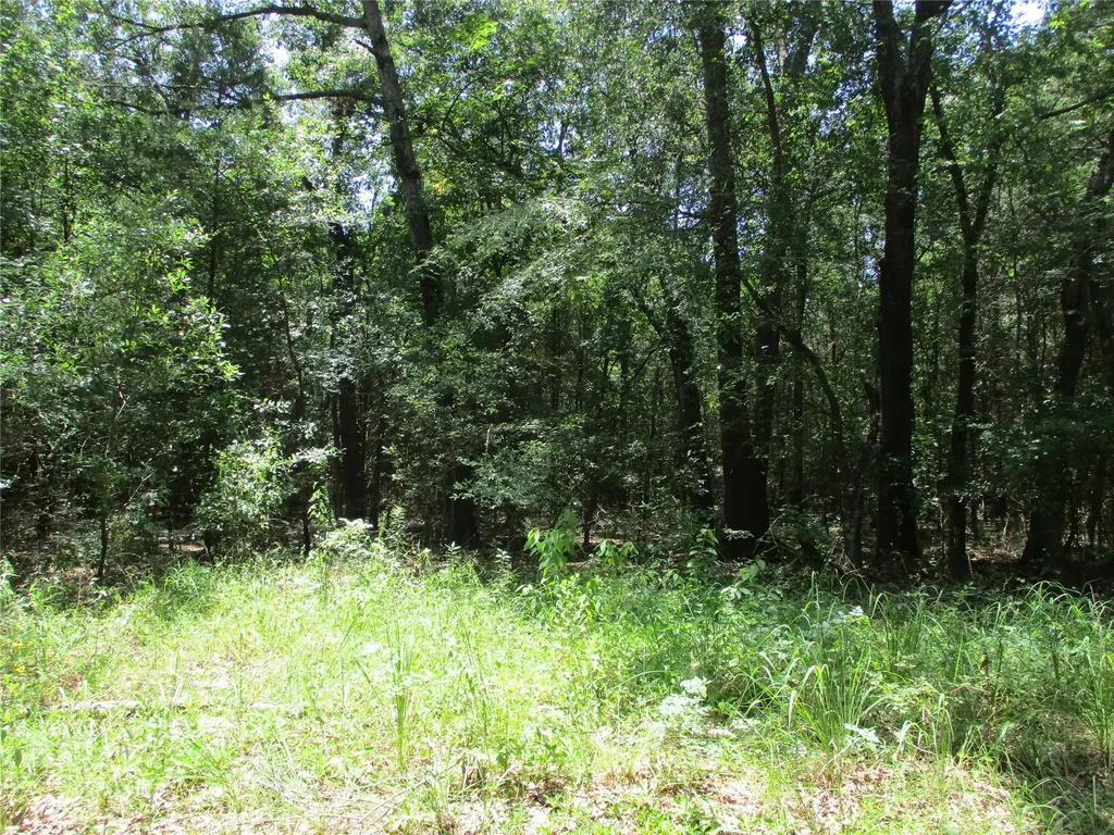 517 Rains County Road 1275 Emory TX 75440