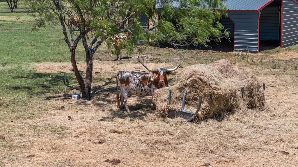 7999 County Road 151 Kaufman TX 75142