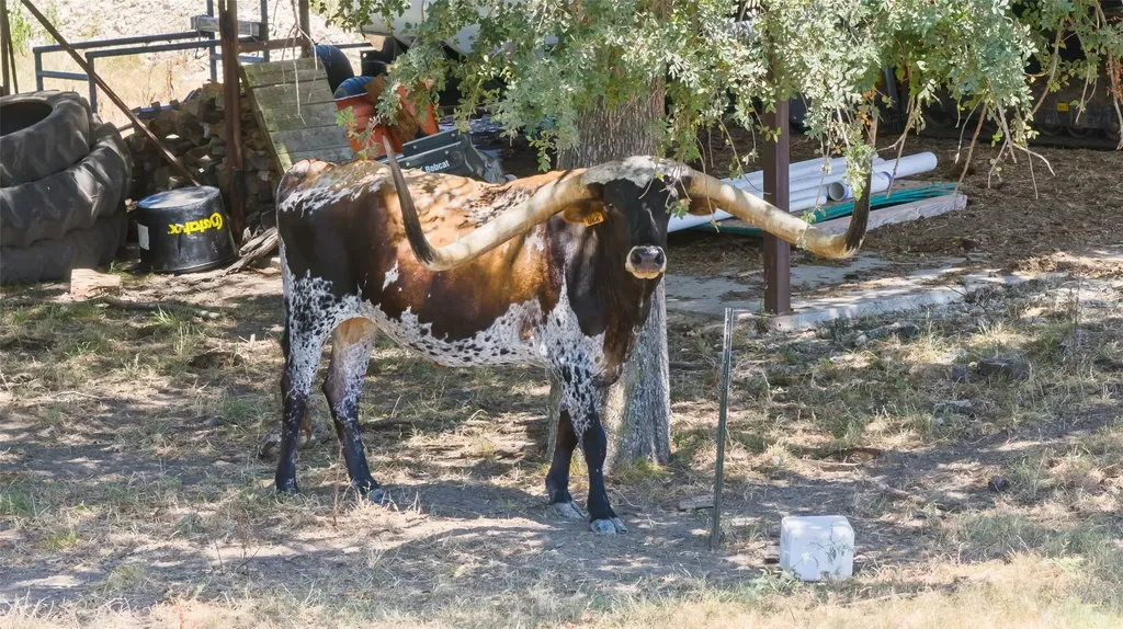 7999 County Road 151 Kaufman TX 75142