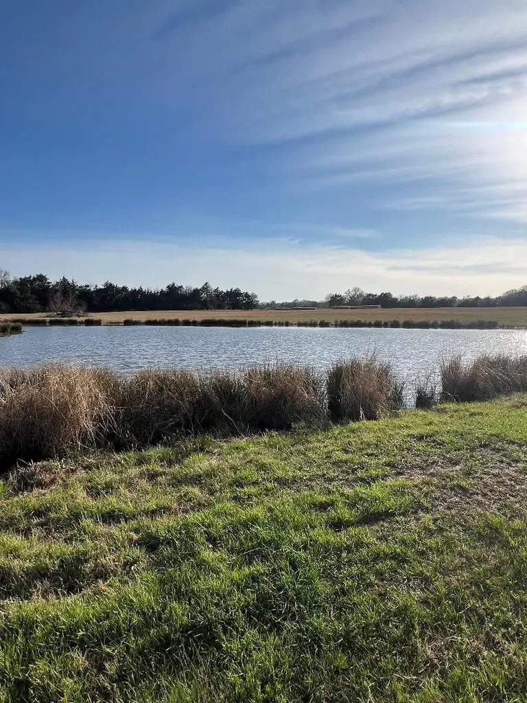 Tbd County Road 3501 Wills Point TX 75169