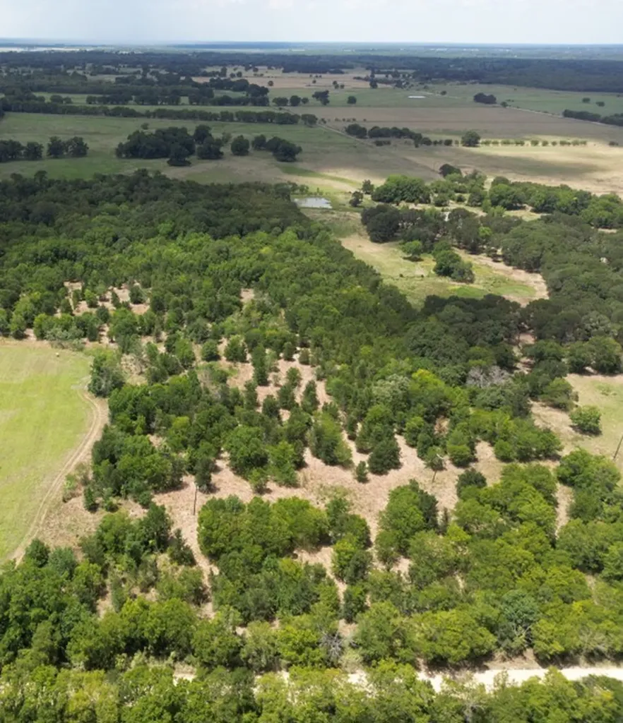0000 NE County Road 3270 Navarro TX 75109