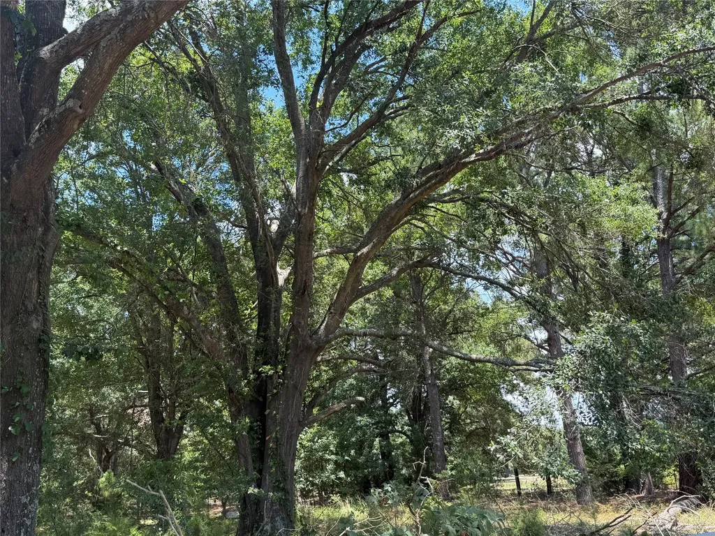 19780 Interstate 20 Wills Point TX 75169