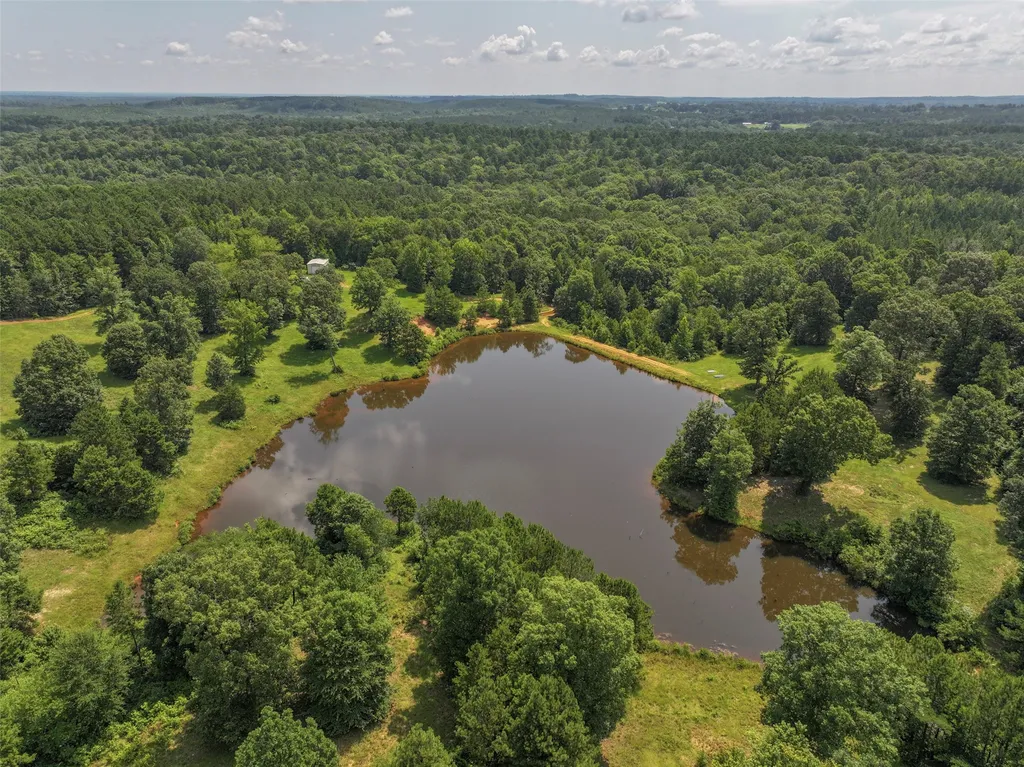 252 County Road 2110 Atlanta TX 75551