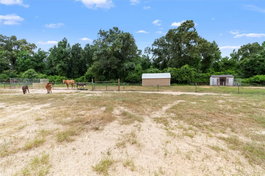 7212 County Road 2761 Buffalo TX 75831