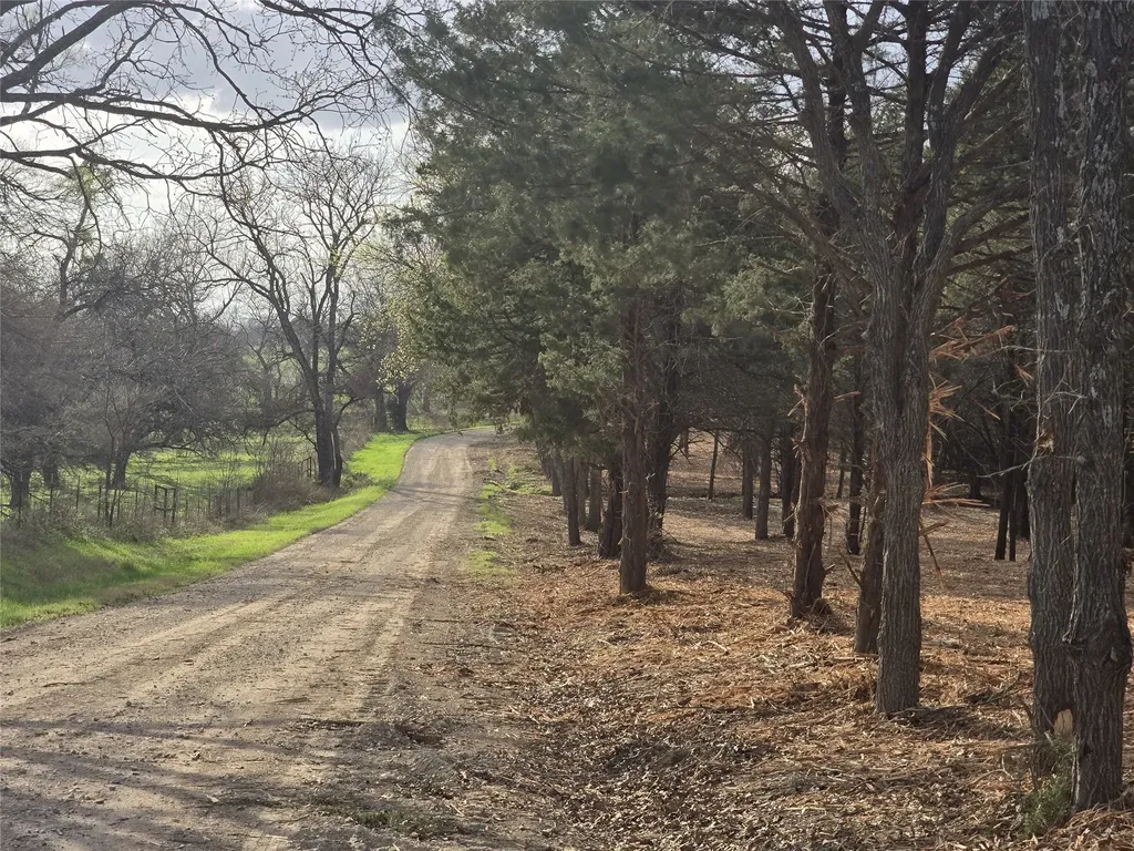 Lot 3 County Road 4581 Sulphur Springs TX 75482