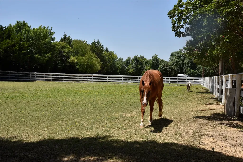 1329 S Belt Line Road Mesquite TX 75149