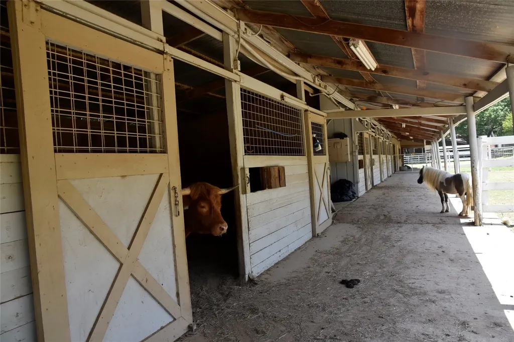 1329 S Belt Line Road Mesquite TX 75149
