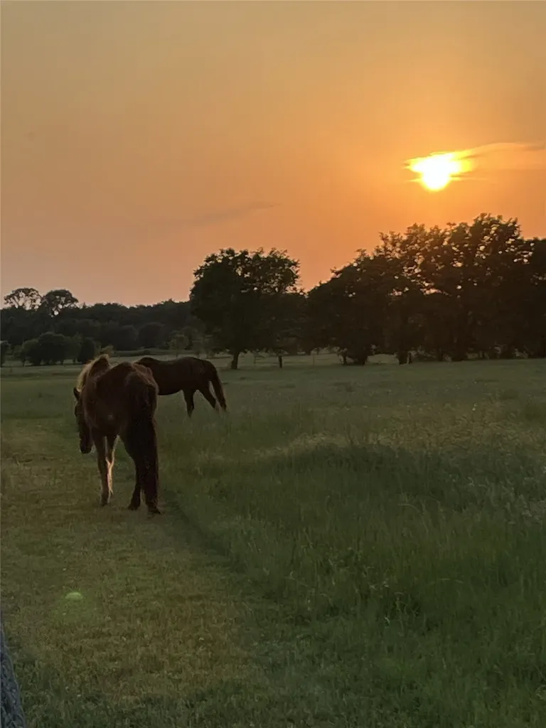 716 County Road 3241 Paradise TX 76073