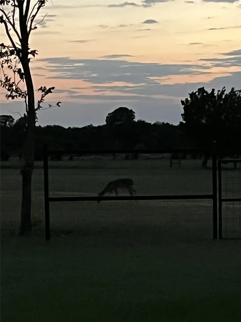 716 County Road 3241 Paradise TX 76073