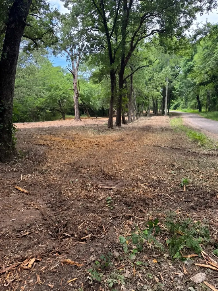 Lot 4 County Road 3562 Dike TX 75437
