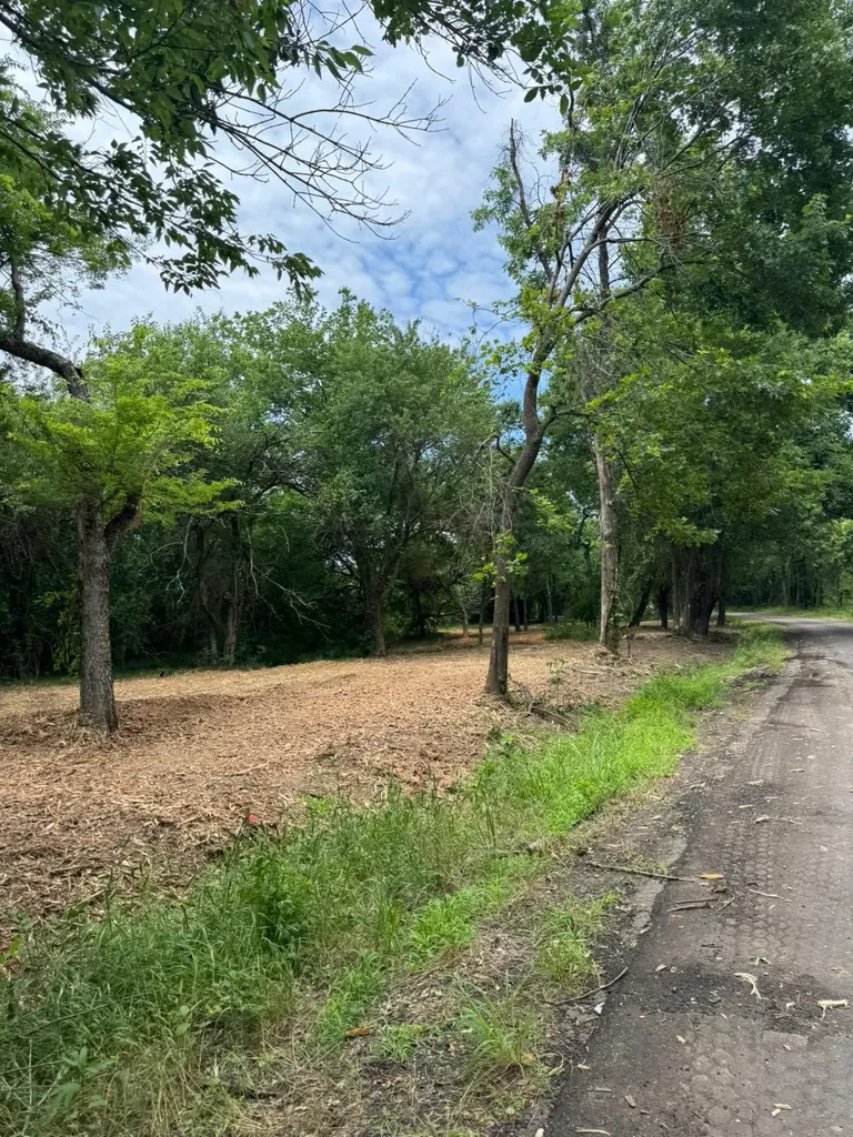 Lot 4 County Road 3562 Dike TX 75437