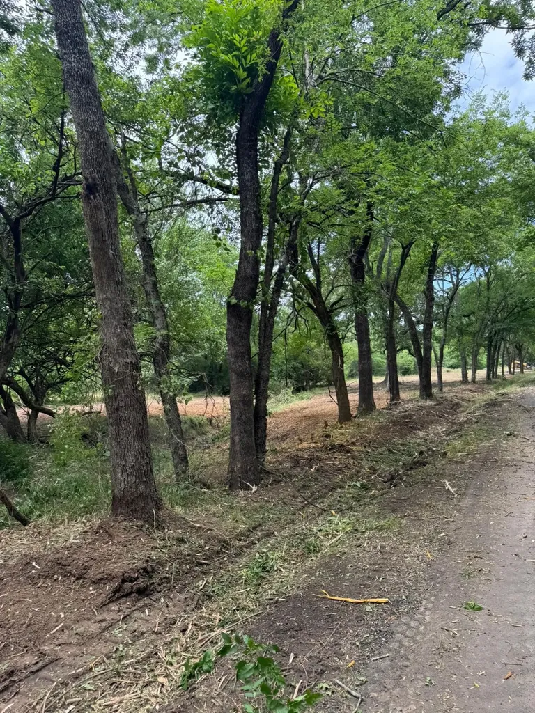 Lot 4 County Road 3562 Dike TX 75437