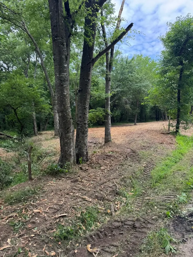 Lot 4 County Road 3562 Dike TX 75437