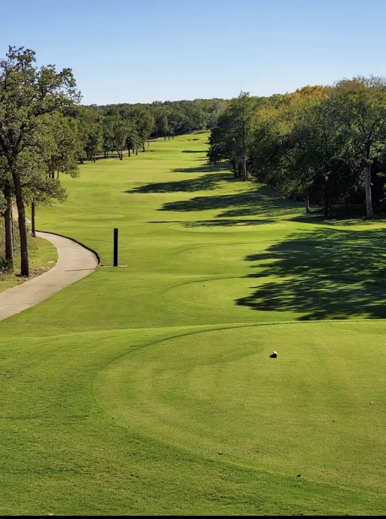 14 Palmilla Court Gordonville TX 76245