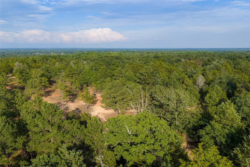 3350 Fm 1256 Eustace TX 75124