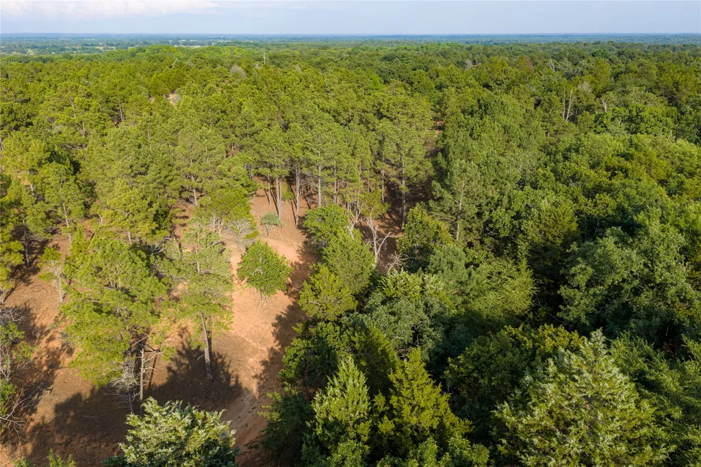 3350 Fm 1256 Eustace TX 75124