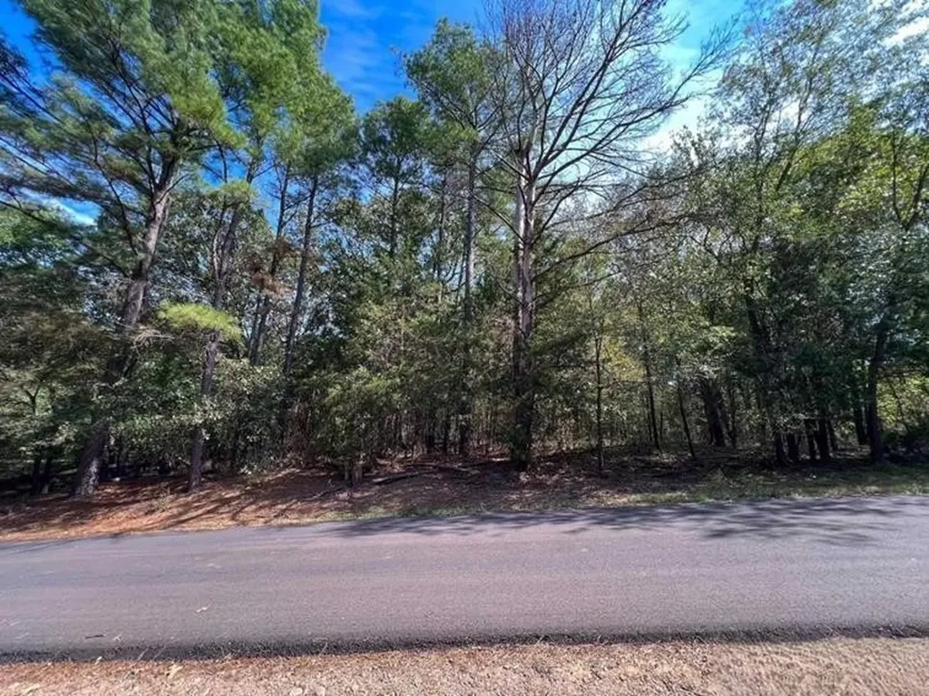 Lot 49 Angelina Drive Mount Vernon TX 75457