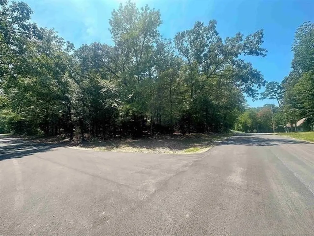 Lot 49 Angelina Drive Mount Vernon TX 75457