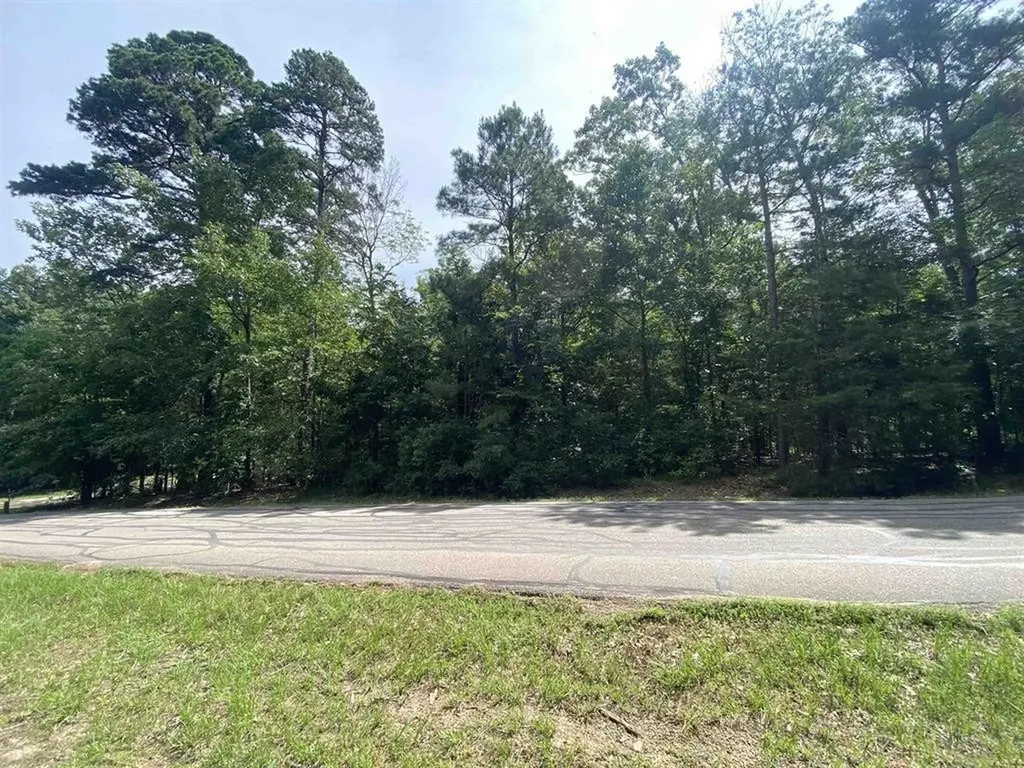 Lot 49 Angelina Drive Mount Vernon TX 75457