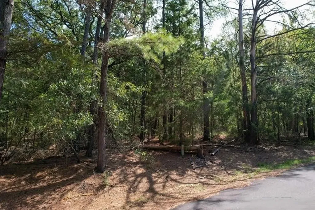Lot 49 Angelina Drive Mount Vernon TX 75457