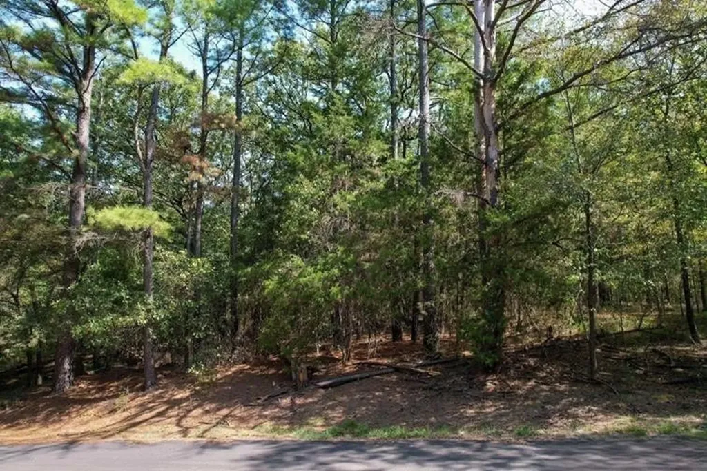 Lot 49 Angelina Drive Mount Vernon TX 75457