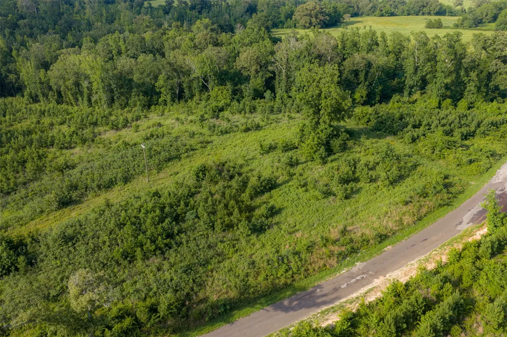 00 County Road 436 Laneville TX 75667