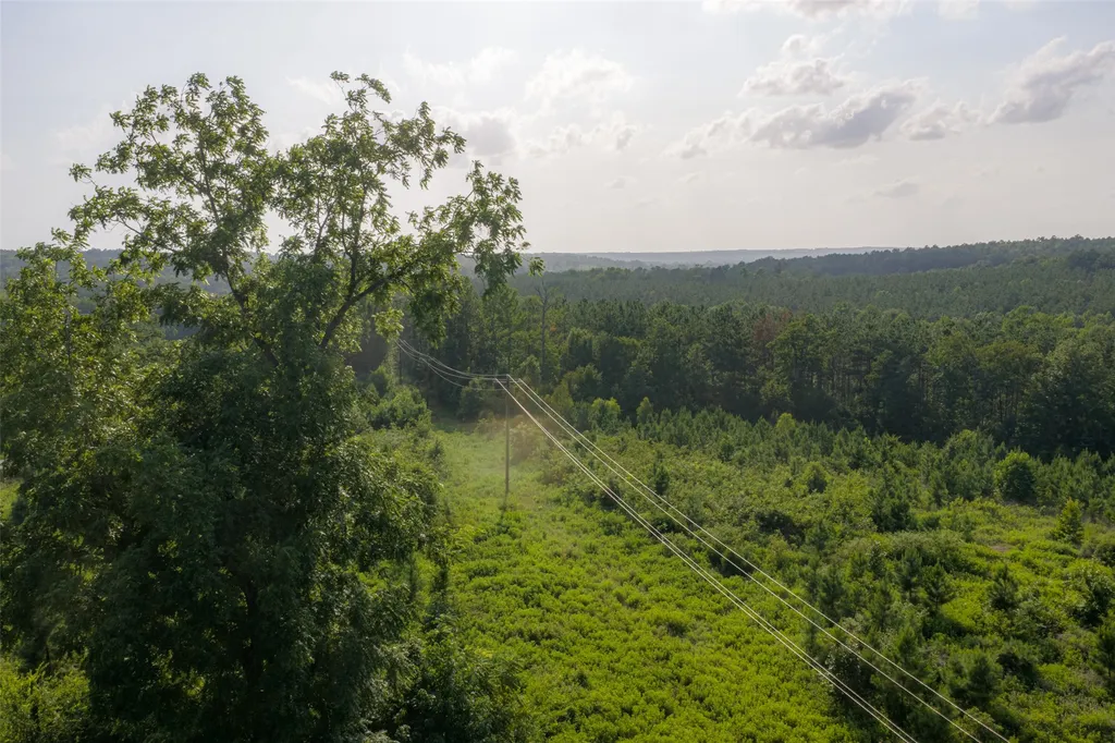 00 County Road 436 Laneville TX 75667