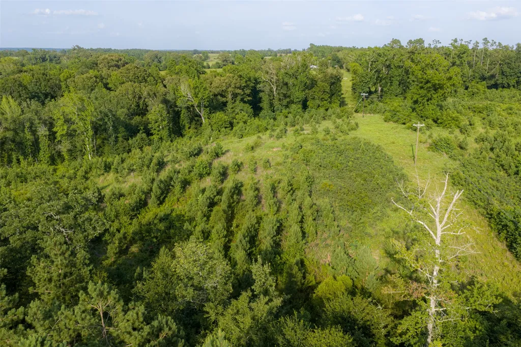 00 County Road 436 Laneville TX 75667