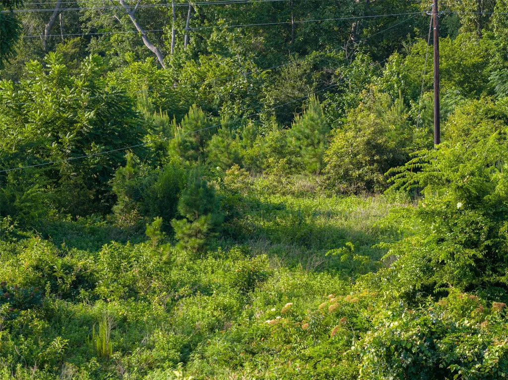 00 County Road 436 Laneville TX 75667