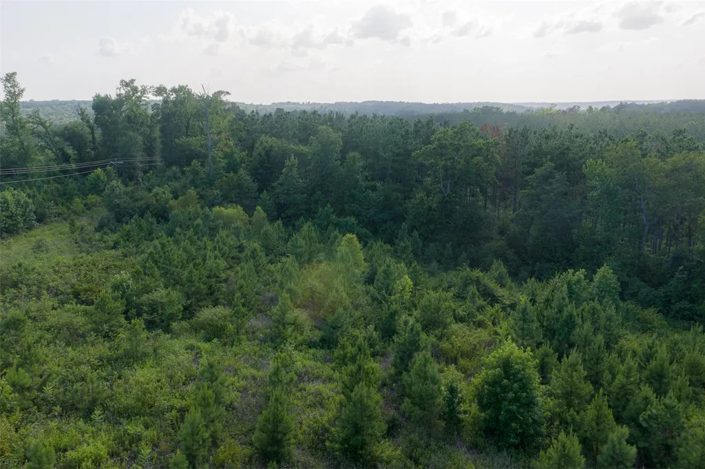 00 County Road 436 Laneville TX 75667