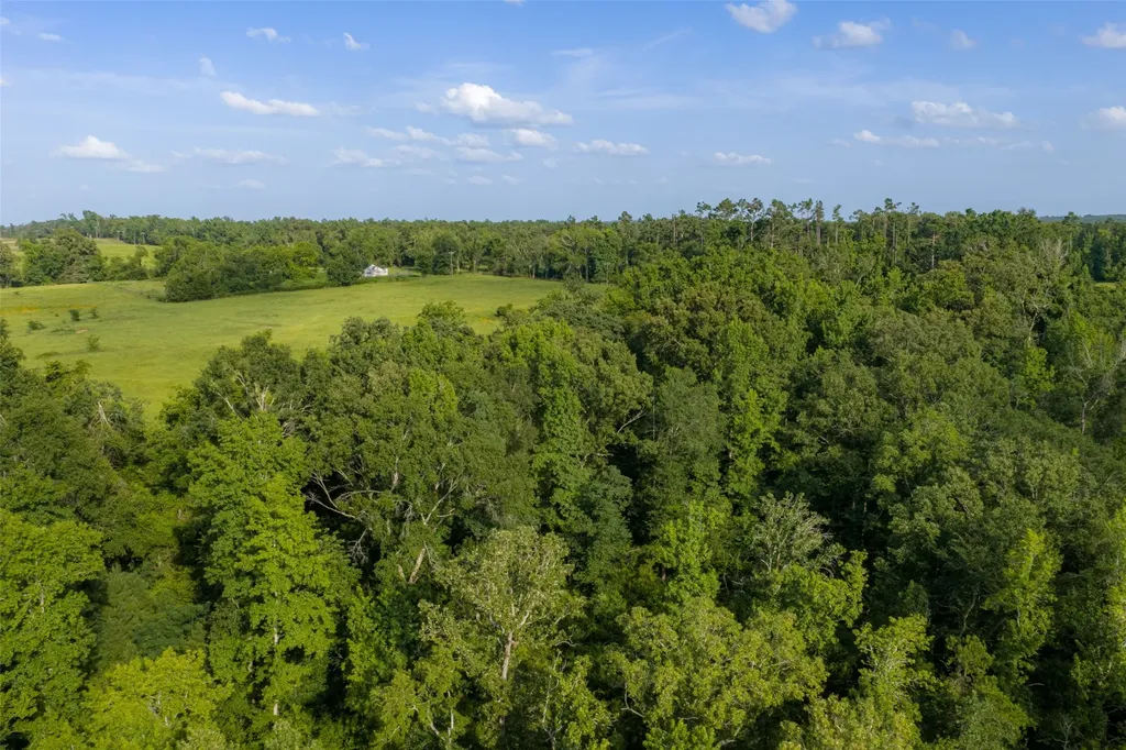 00 County Road 436 Laneville TX 75667