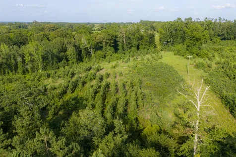 00 County Road 436 Laneville TX 75667