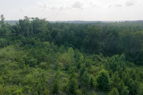00 County Road 436 Laneville TX 75667