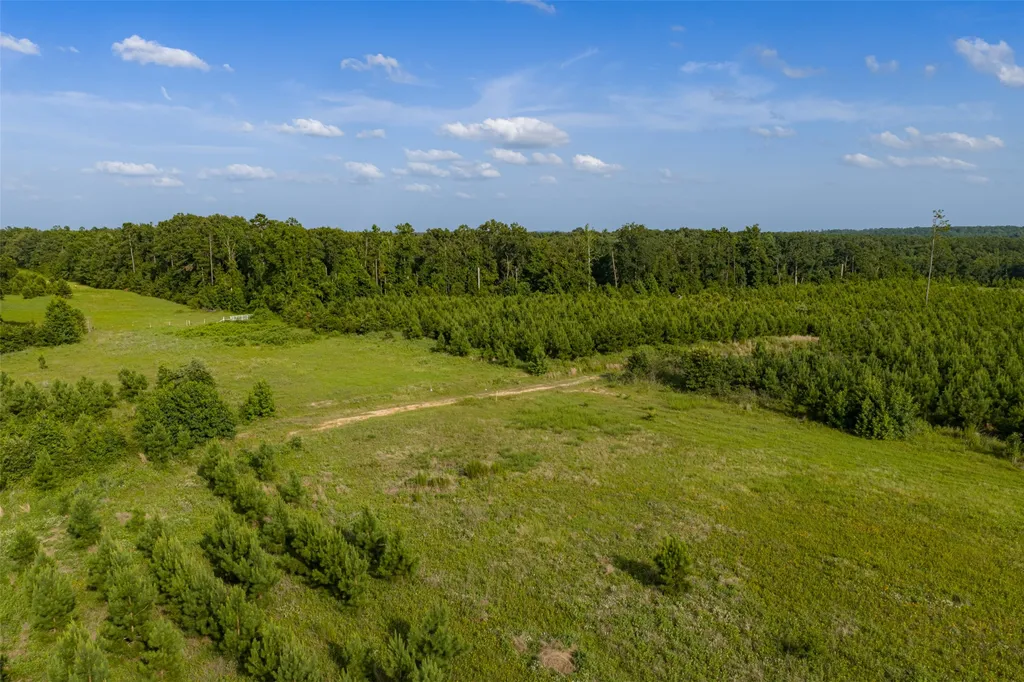 000 County Road 436 Laneville TX 75667