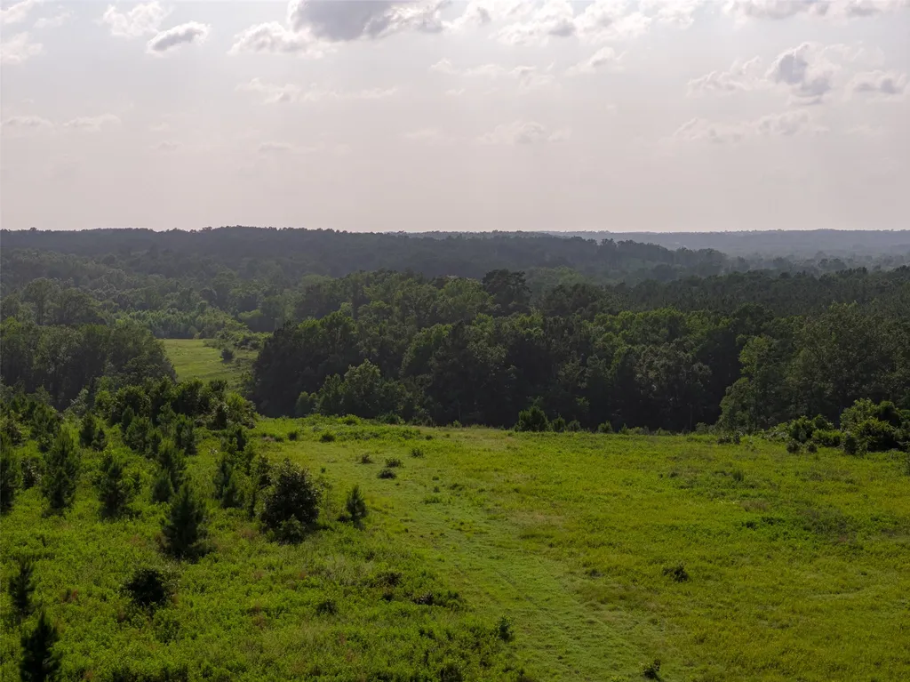 000 County Road 436 Laneville TX 75667