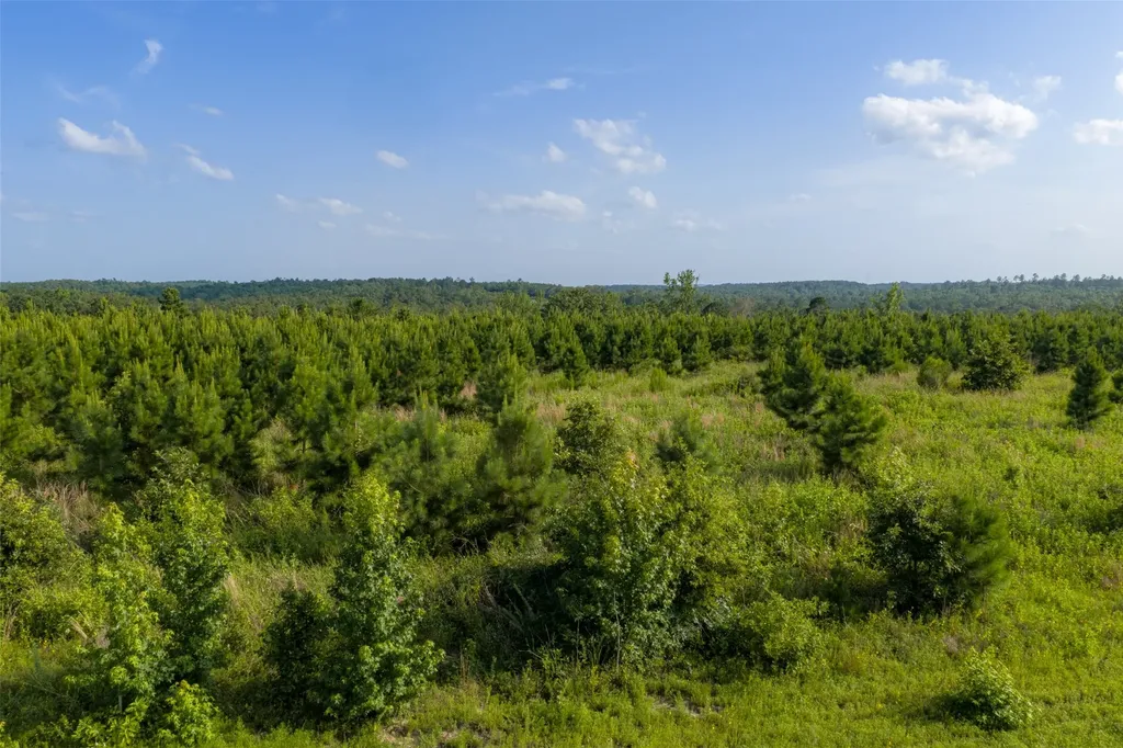 000 County Road 436 Laneville TX 75667