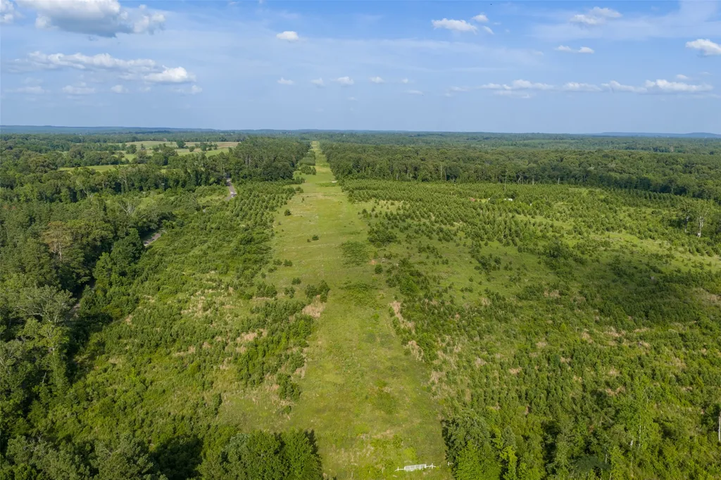 000 County Road 436 Laneville TX 75667