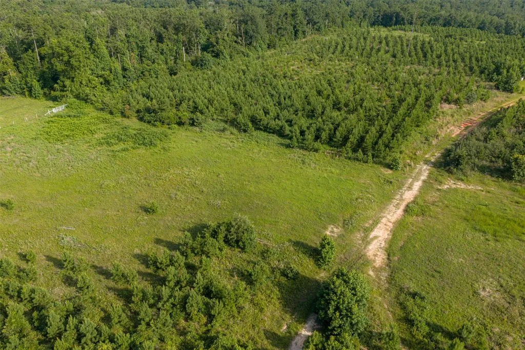 000 County Road 436 Laneville TX 75667
