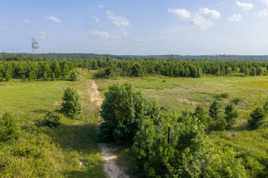 000 County Road 436 Laneville TX 75667